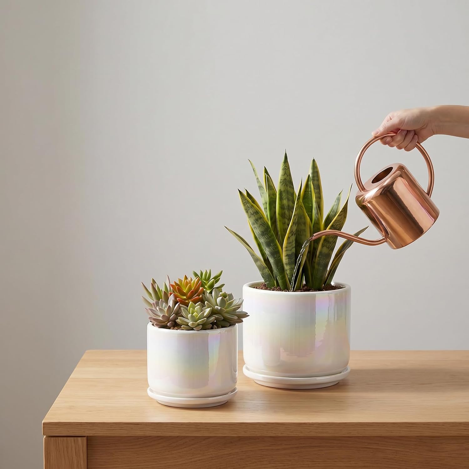 EFISPSS Plant Pots, 4+5+6 Inch Pots for Indoor Plants,Ceramic Planter Pot with Drainage Hole,Flower Pots for Succulent