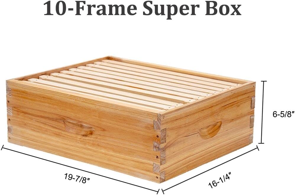 BeeCastle 10-Frames Complete Beehive Kit, 100% Beeswax Coated Bee Hive Includes Beehive Frames and Beeswax Coated