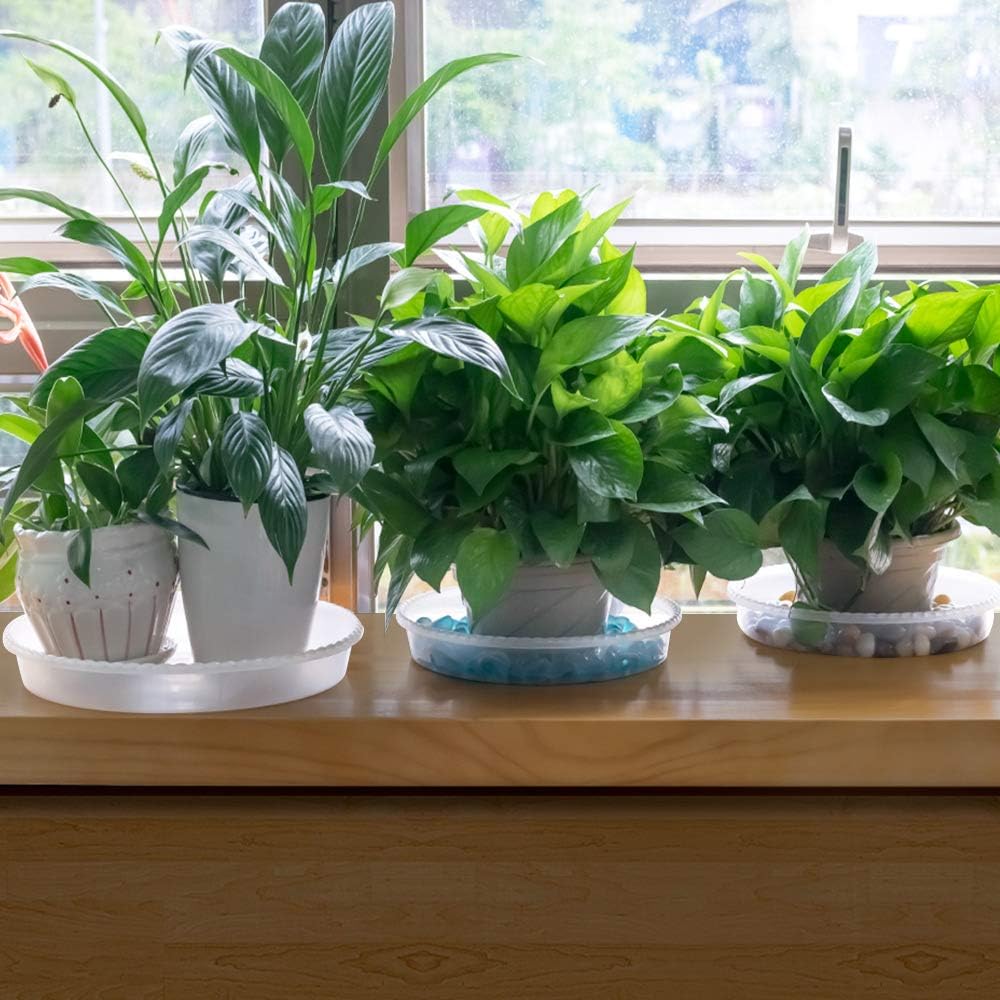 MUDEELA 6 Pack of 15 inch Plant Saucer, Durable Plastic Plant Trays for Indoors, Clear Plastic Flower Plant Pot Saucer