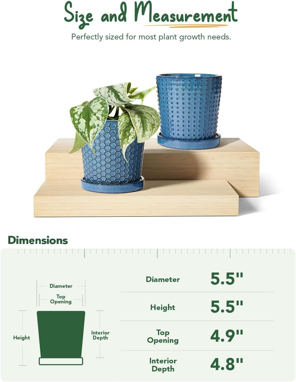 LE TAUCI Ceramic Pots for Plants, 5.5 Inch Plant Pots with Drainage and Saucer, Indoor Plant Pots for Succulents, Snake