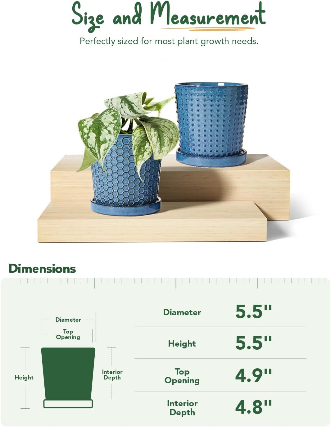 LE TAUCI Ceramic Pots for Plants, 5.5 Inch Plant Pots with Drainage and Saucer, Indoor Plant Pots for Succulents, Snake