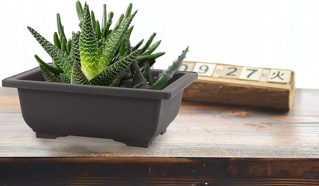 SEUNMUK 30 PCS 6.5 Inch Plastic Bonsai Training Pots, Thicken Rectangular Plastic Growing Pots, Flower Succulent Pots