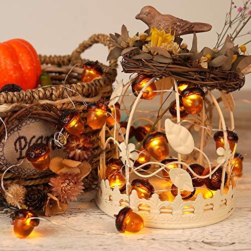 BOHON 3D Acorn String Lights Battery Battery Thanksgiving Fall Decorations