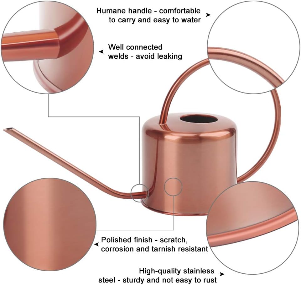 Remiawy Watering Can Indoor Outdoor Stainless Steel Watering Cans for House Plants Long Spout Water Can for Succulent