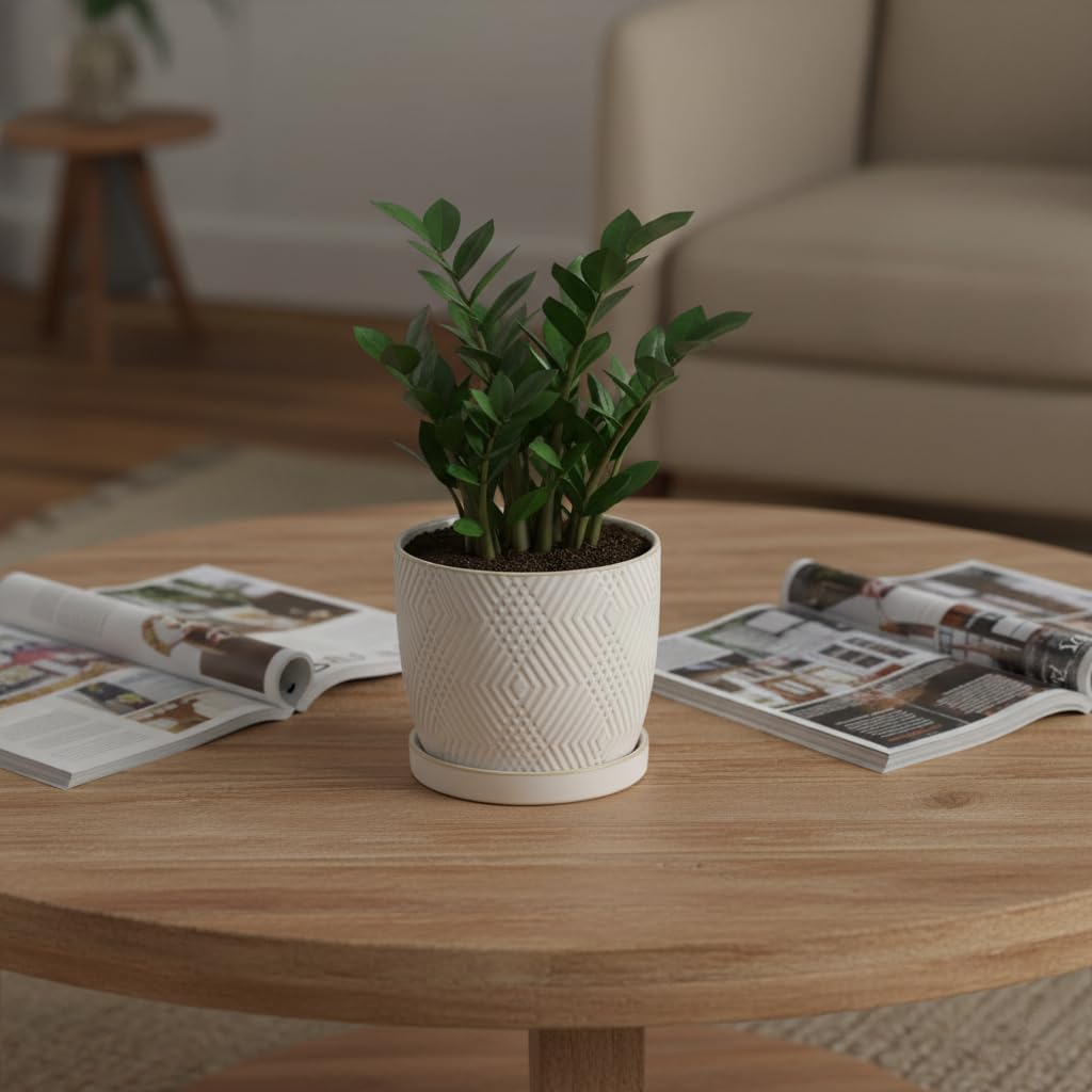 Nihow Ceramic Plant Pots with Drainage Hole & Saucer, 4.75 Inch, White-3 | Small,Embossed Design, For Succulent