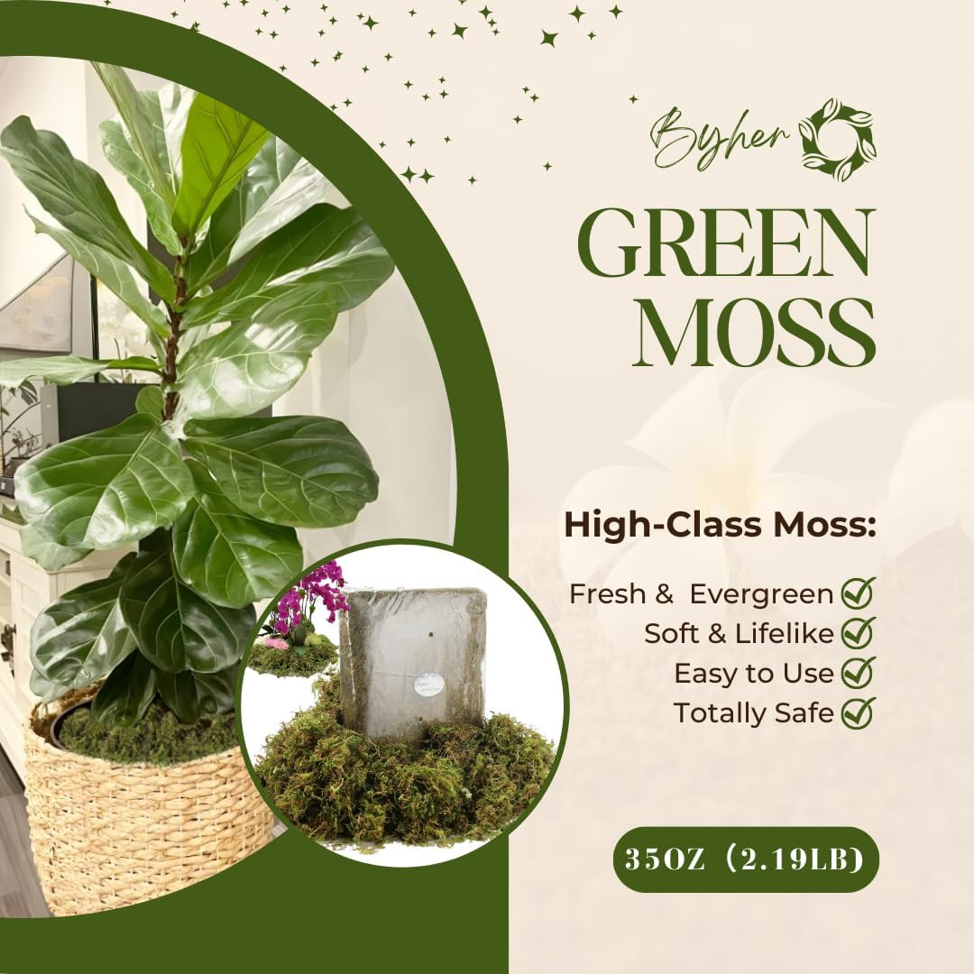 2.2LB Large Capacity Fake Moss for Plants Indoor, 35 OZ Fresh Green Moss for Potted Plants Craft Moss for Home & Office