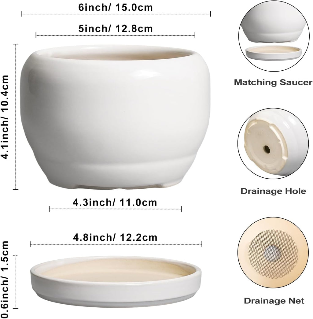 SQOWL Ceramic Flower Pots - 6 Inch Plant Pot Indoor Outdoor, Ceramic Planter with Drainage Hole and Saucer, Modern