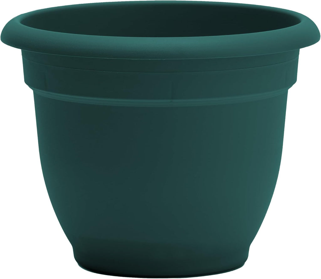 Bloem Ariana 12" Plastic Self-Watering Planter, Charleston Green, 2-Pack | Self-watering disk at the bottom of each pot