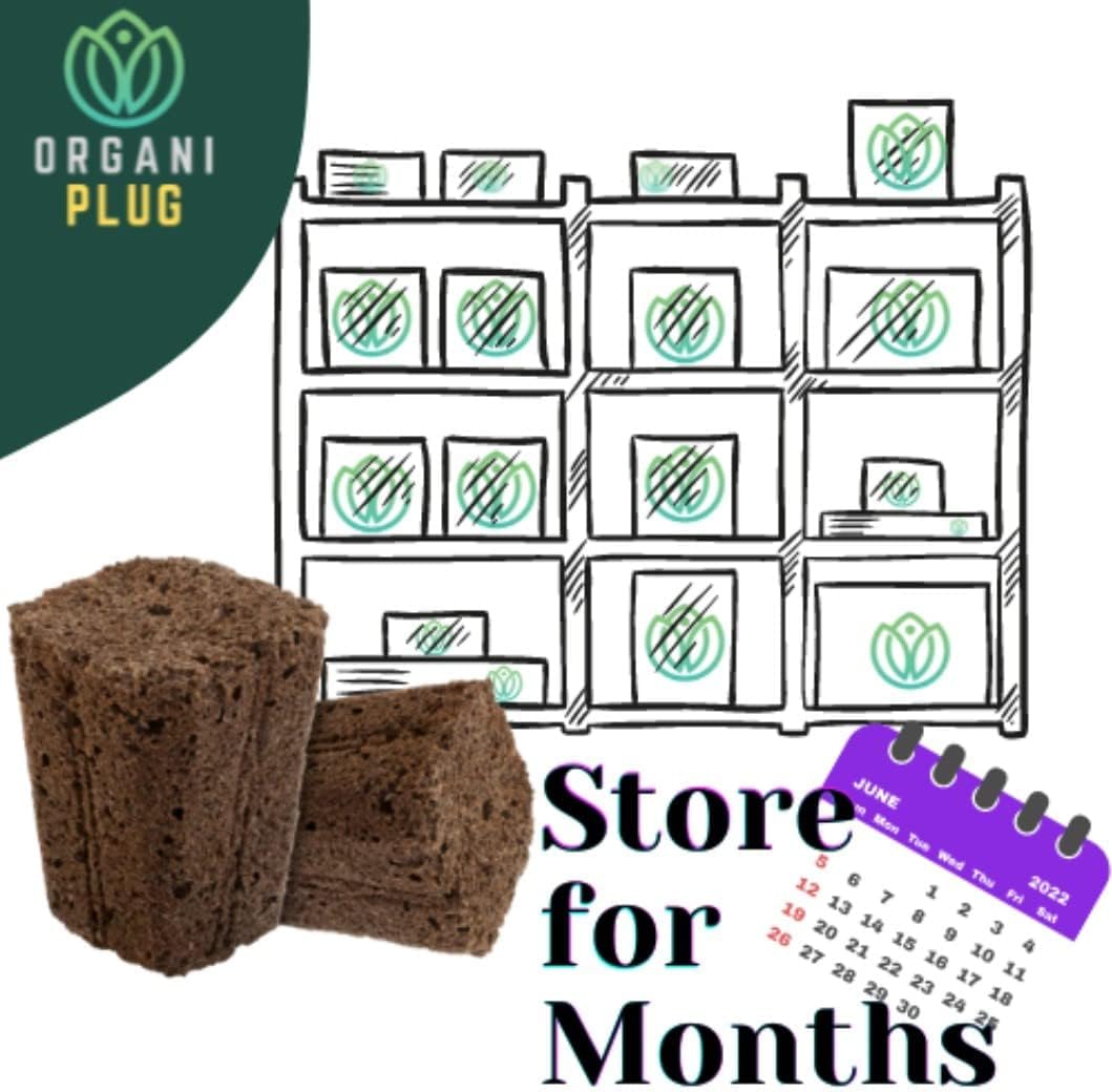 VPS OrganiPlug Hydroponic Seed Starter Plugs, 2000 Pack, Rapid Root Planting Pods for Seedling, Clone, Cutting