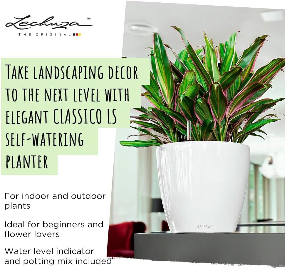 LECHUZA Self Watering Pots for Indoor Plants, 1 Pack 8 Inch (Glossy White) | Classico 21 LS, D8.3 H7.9 Inch, for