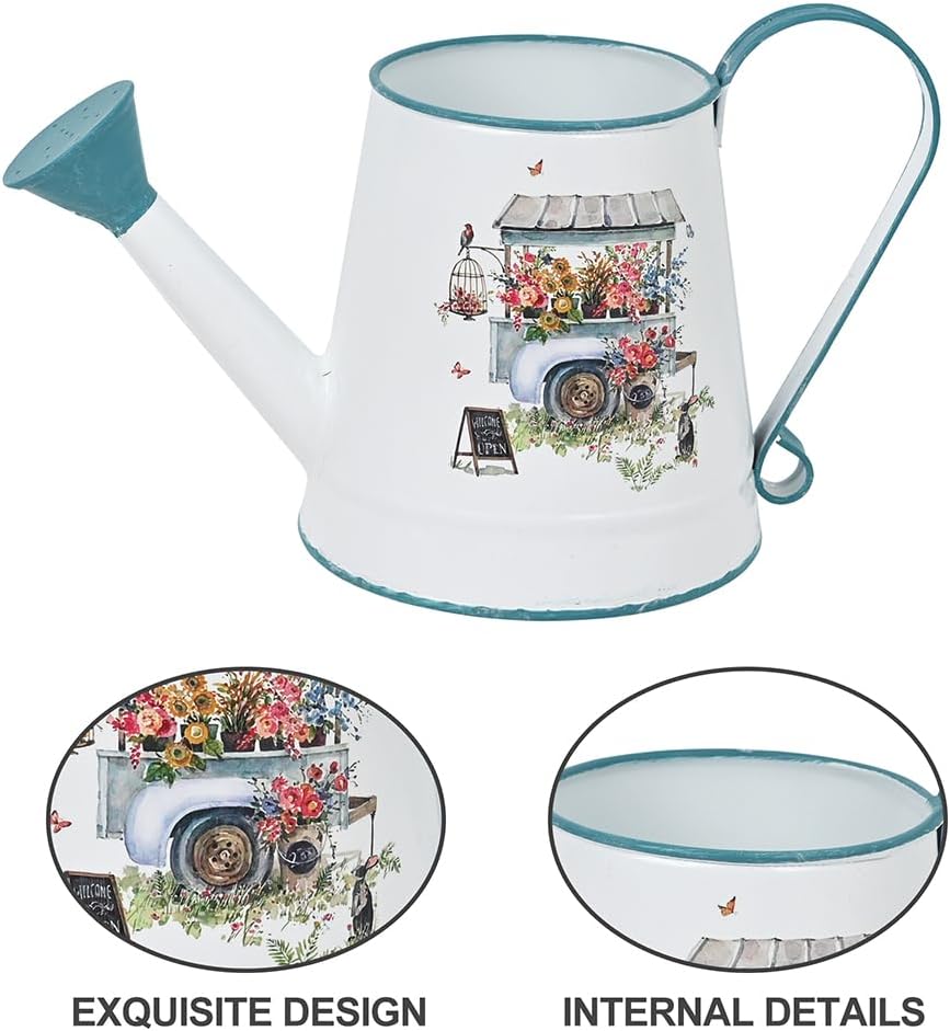 Cute Small Watering Can Indoor Plants Garden Metal Decorative Watering Cans for Outdoor Plants Bonsai Outdoor Garden