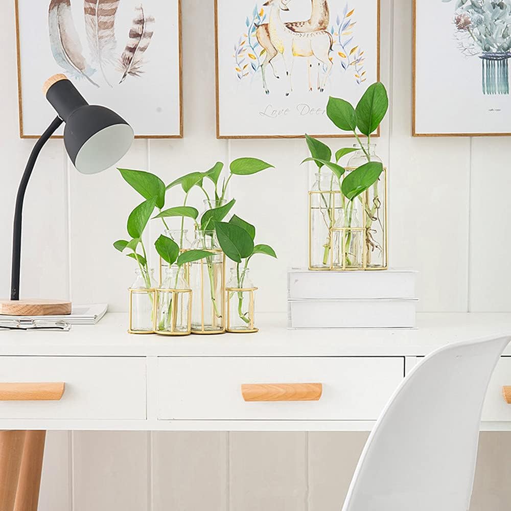 Flower Vases with 6 Bottle Crystal Clear Glass Flower Vase with Metal Stand Propagation Station Plant Display Holder