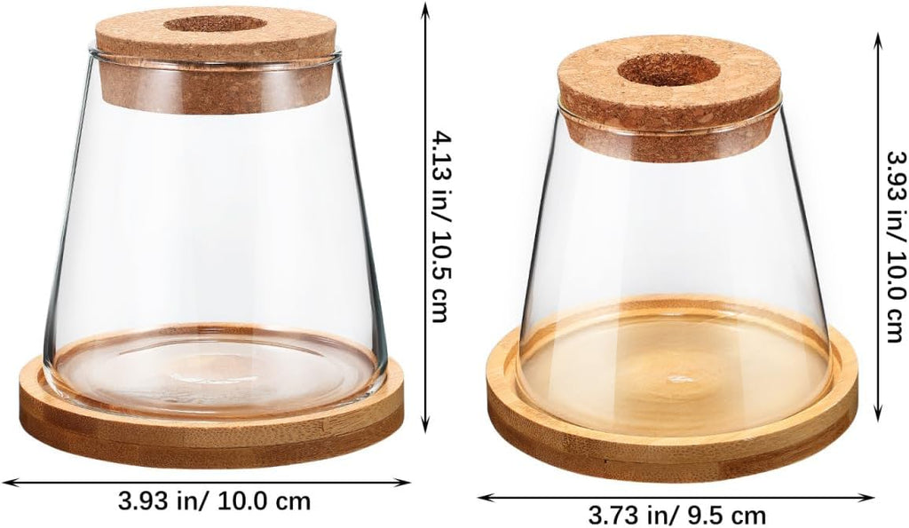 2pcs Glass Plant Propagation Station with Wooden Base Hydroponic Plants Vase for Indoor Decor Glass Terrarium Vase Jars