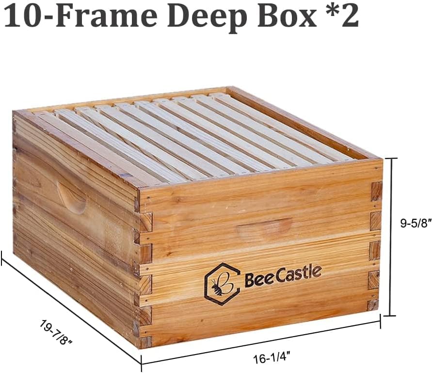 BeeCastle 10 Frame Langstroth Bee Hive Coated with 100% Beeswax Includes Beehive Frames and Waxed Foundations (2 Deep
