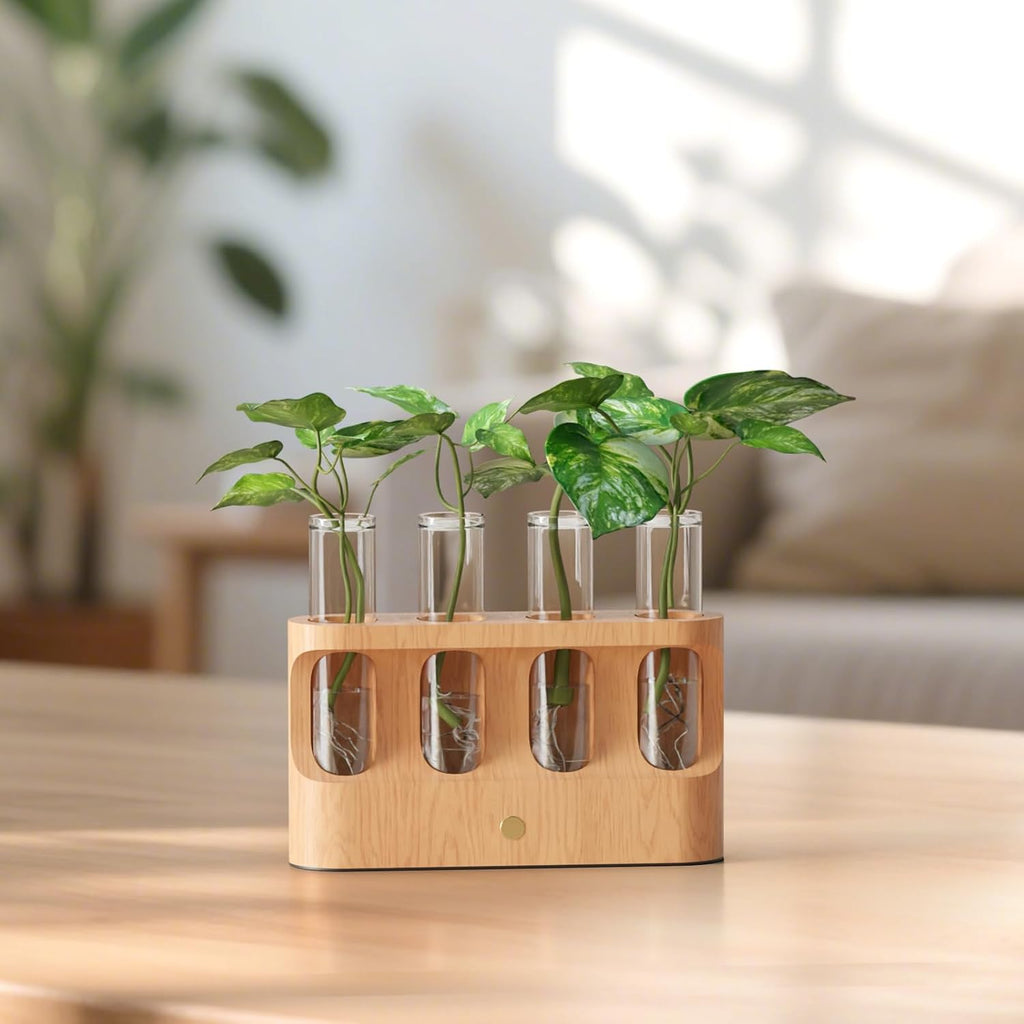 Rechargeable Plant Propagation Station with Stepless Dimming Lights | Wooden Stand, 4 Glass Test Tubes, Home Decor for