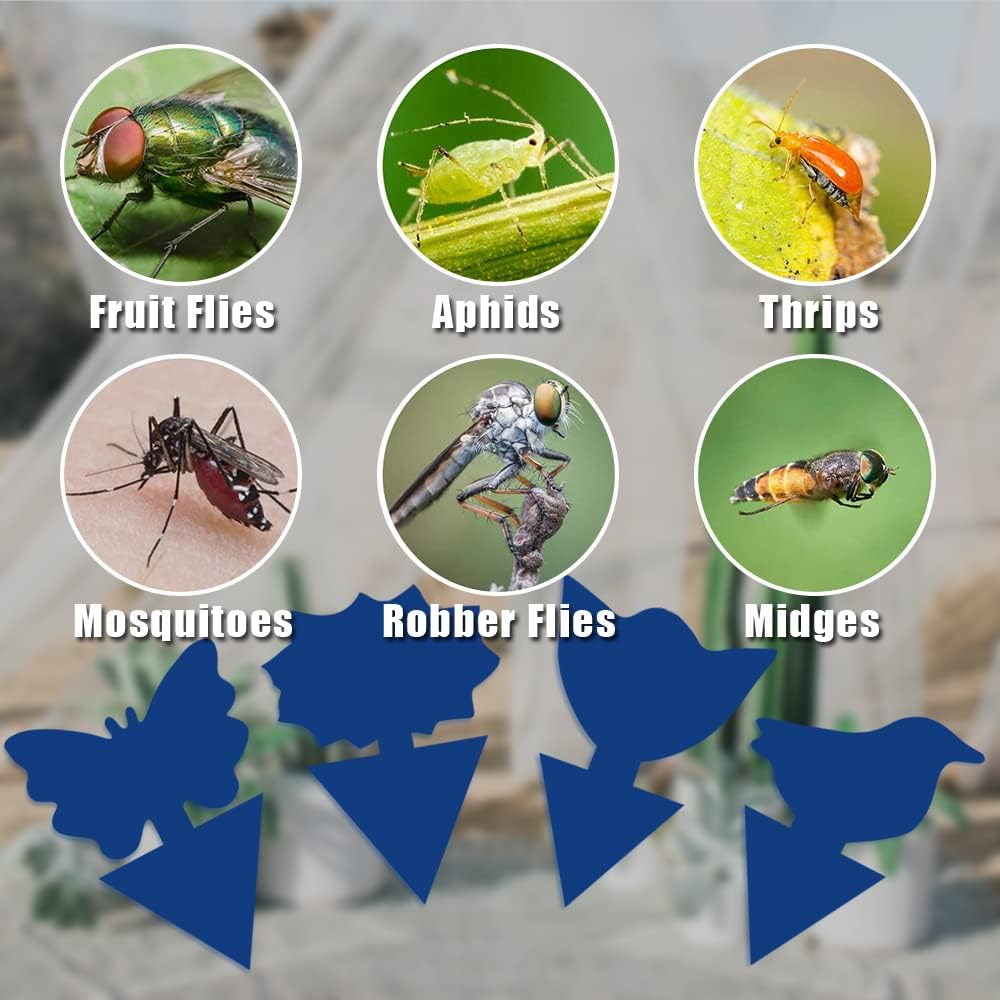 36 Pack Fungus Gnat Traps for House Plants, Blue Sticky Traps for Indoor Outdoor Use to Get Rid of Whitefly Mosquitoes