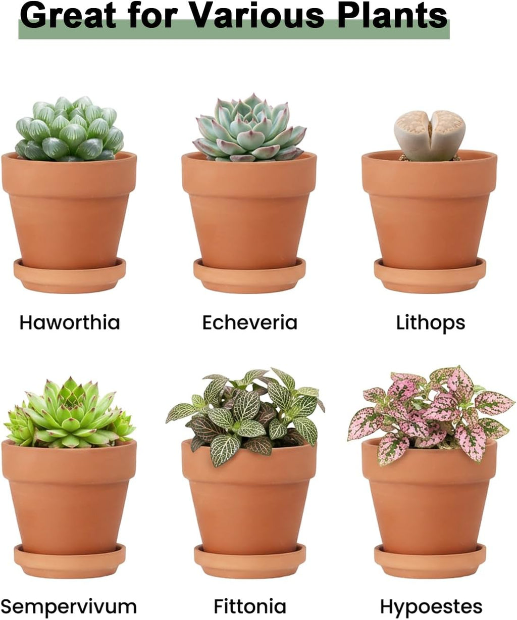 Riseuvo 3 Inch Terra Cotta Pots with Saucer - 12 Pack Clay Flower Pots with Drainage, Great for Plants, Crafts, Wedding