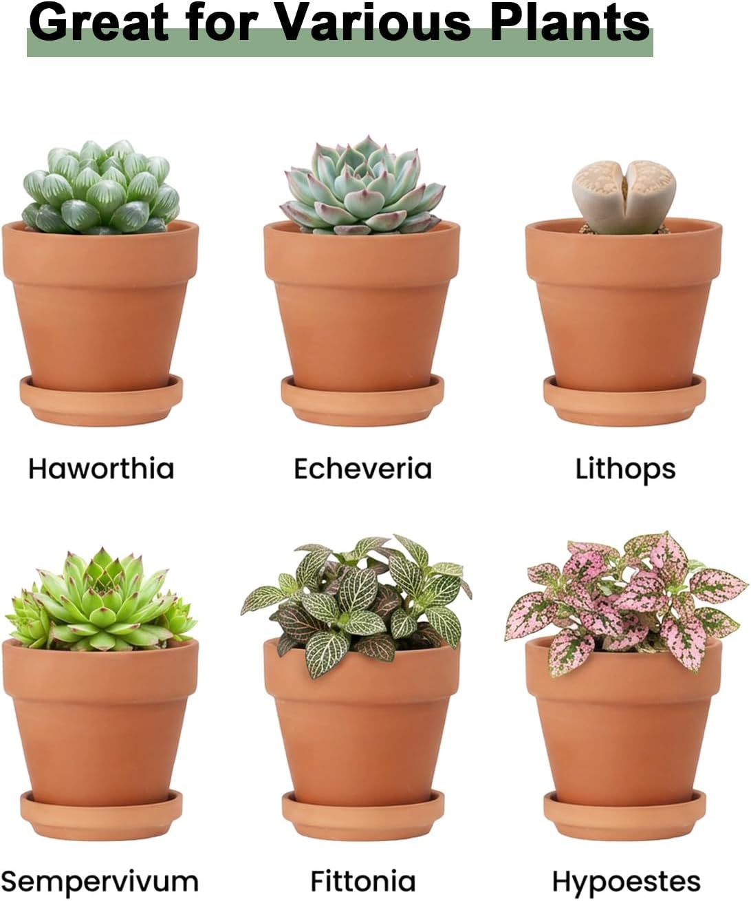 Riseuvo 3 Inch Terra Cotta Pots with Saucer - 12 Pack Clay Flower Pots with Drainage, Great for Plants, Crafts, Wedding