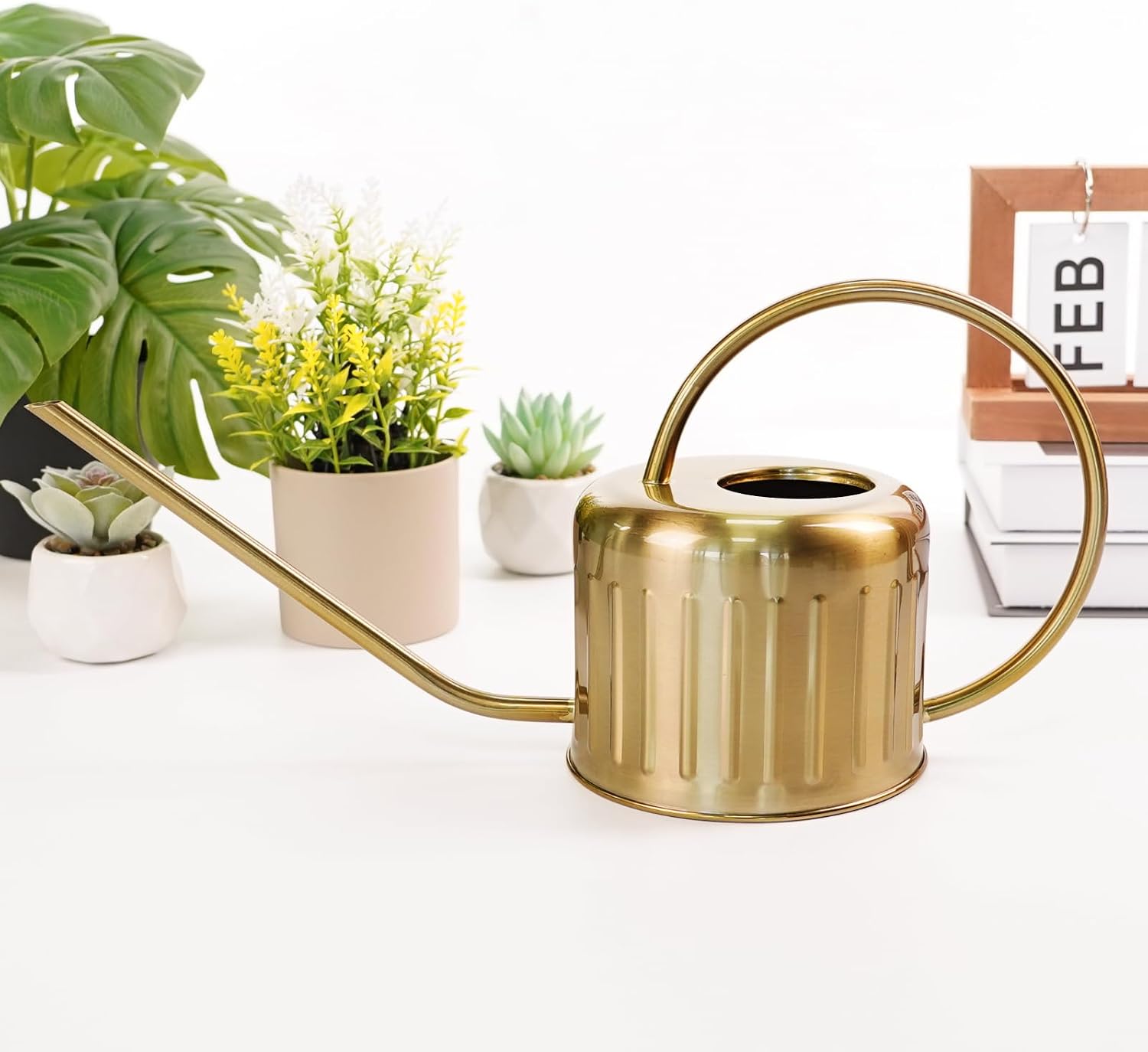 34oz/1L Stainless Steel Watering Can, Rust-Proof Indoor/Outdoor Watering Can for House Plants, Long Spout Water Can for