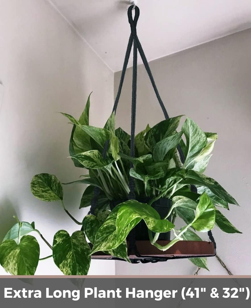 2 Pack Macrame Plant Hanger, Hanging Plant Shelf (12" + 10") | Plant Hanger Indoor, Hanging Planter, Hanging Planter