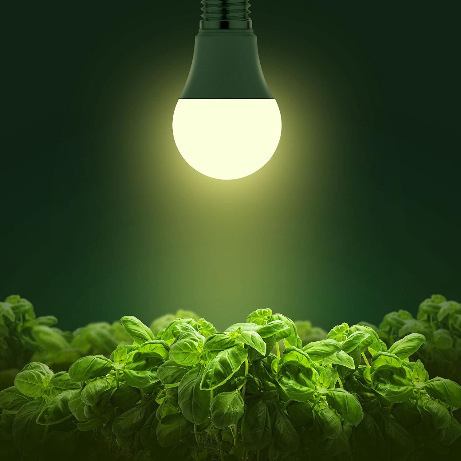 Grow Light Bulbs, LED Grow Light Bulb A19 Bulb, Full Spectrum | Grow Light Bulb, Plant Light Bulbs E26, 11W Grow Bulb