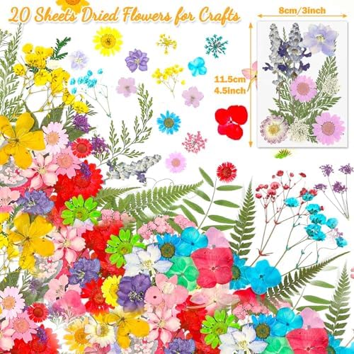 Evatage 200 Pcs Small Dried Pressed Flowers for Resin Crafts