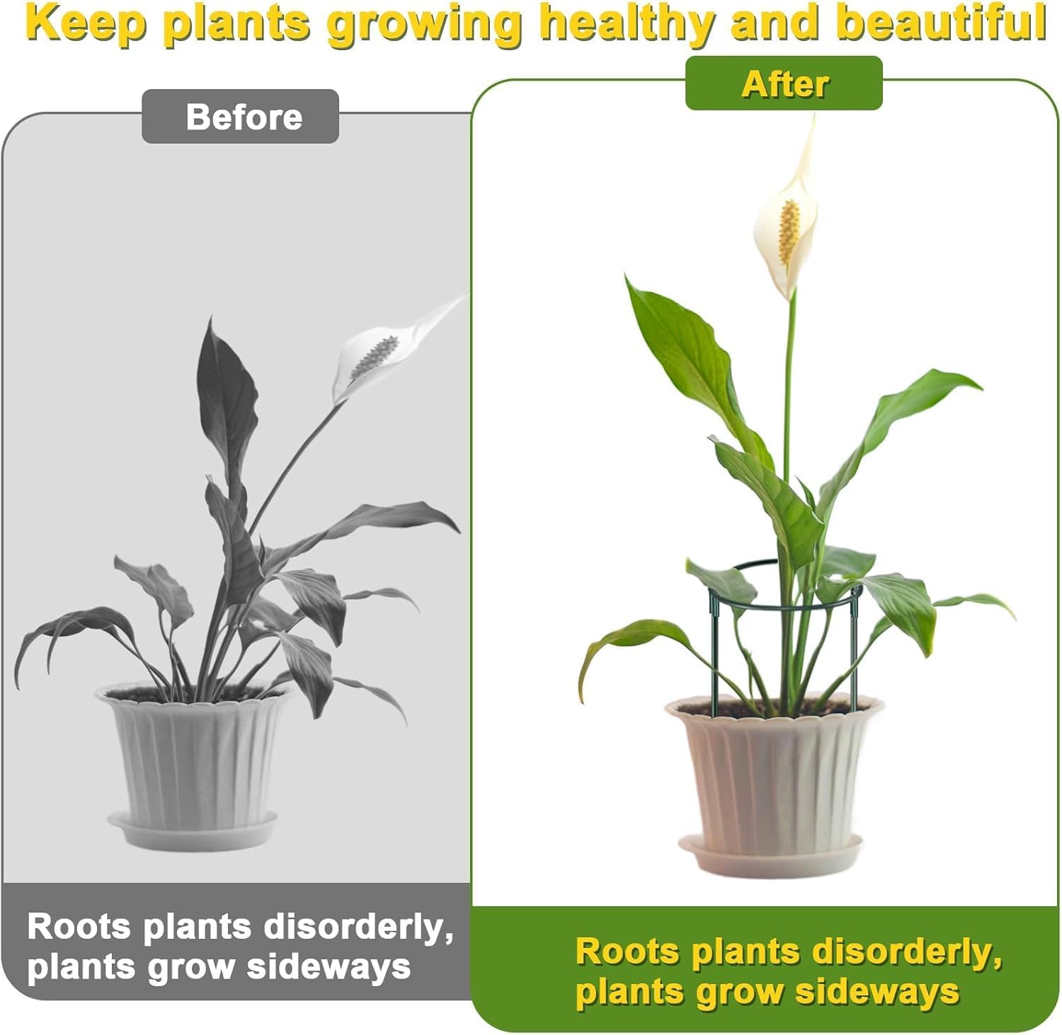 HiGift 4 Pack Height Adjustable Metal Plant Support (36" H or 24" H or 12" H), Heavy Duty Peony Cages and Supports