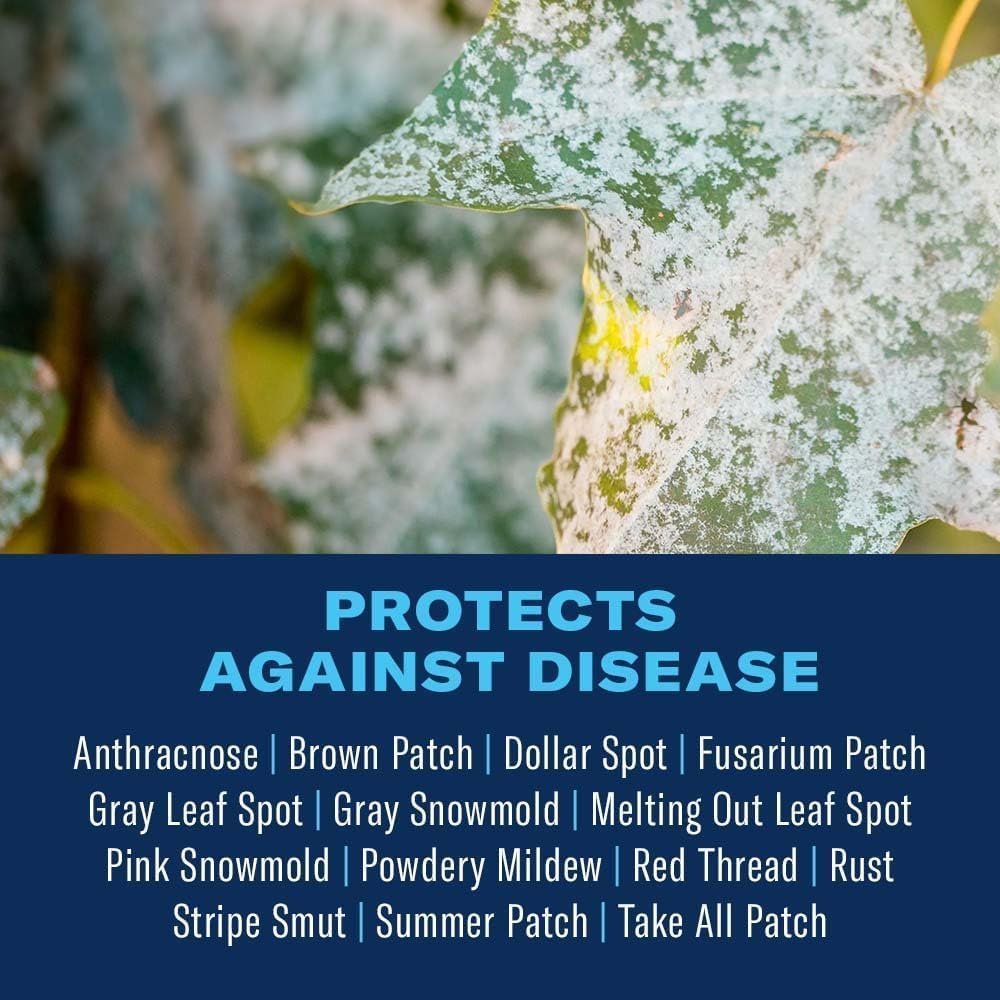 BioAdvanced Fungus Control for Lawns, Granules, 10 lb, Fungicide for Lawns | Cures and Prevents Lawn Diseases - Up to 1