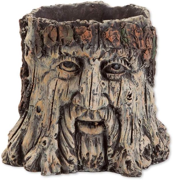 Bits and Pieces - Tree Face Garden Planter Flower Pot - 5 1/2 Inch | Durable Polyresin Indoor-Outdoor Urn for Plants