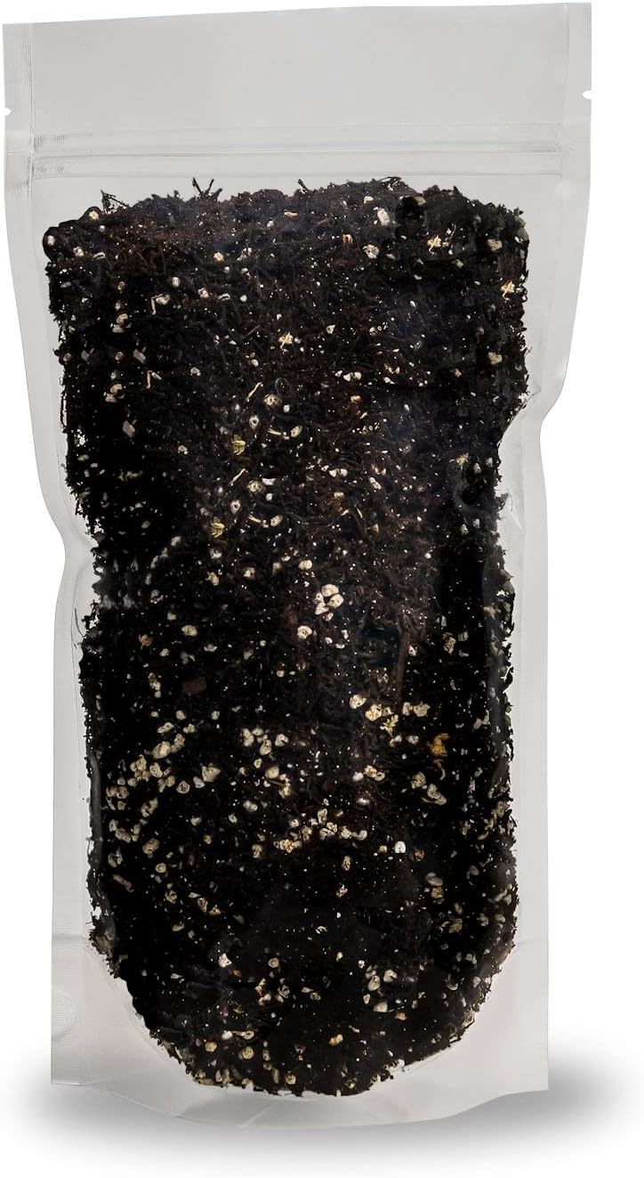 Premium Aglaonema Plant Soil Mix by Gardenera - Stimulate Growth and Elevate Leaf Color with Nourishing Formula - 5