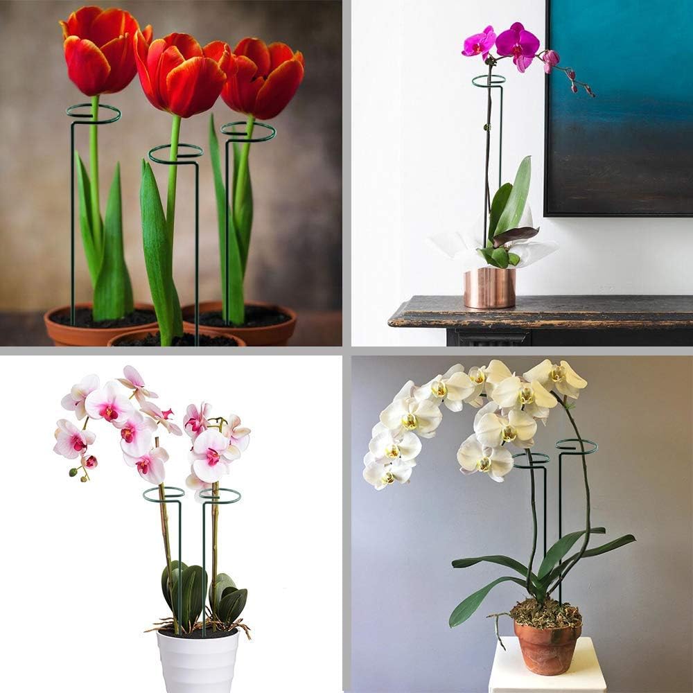 HiGift 10 Pack 24 inch Plant Stakes and Supports, Metal Flower Stakes for Potted Plant Indoor, Garden Stakes for Tall