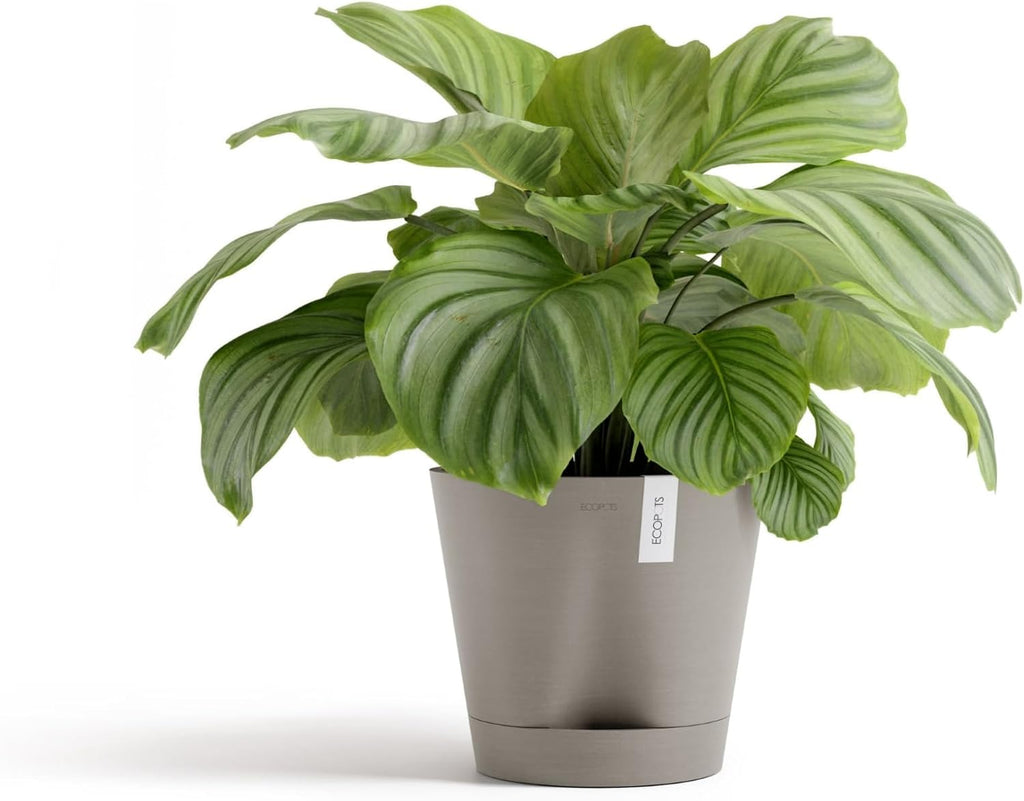 Ecopots Venice 2 Round Flower Planter with Water Reservoir, Taupe, 12" | Self-Watering, Modern Style, Durable