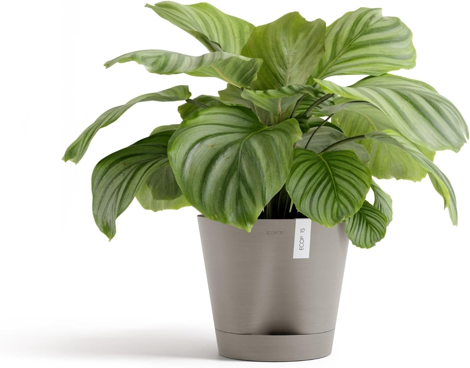 Ecopots Venice 2 Round Flower Planter with Water Reservoir, Taupe, 12" | Self-Watering, Modern Style, Durable