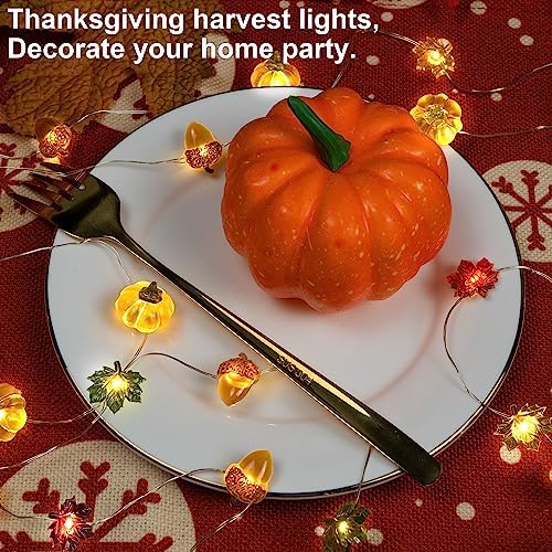 Thanksgiving Lights 10FT 30 LED Fall Lights 3D Pumpkin Maple Leaf Acorn