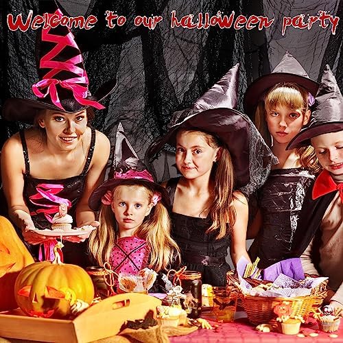 Whaline Halloween Black Creepy Cloth 500 x 87 inch Spooky Gauze Cloth Halloween Decoration for Haunted Houses Window Backdrops Doorways Party Supplies