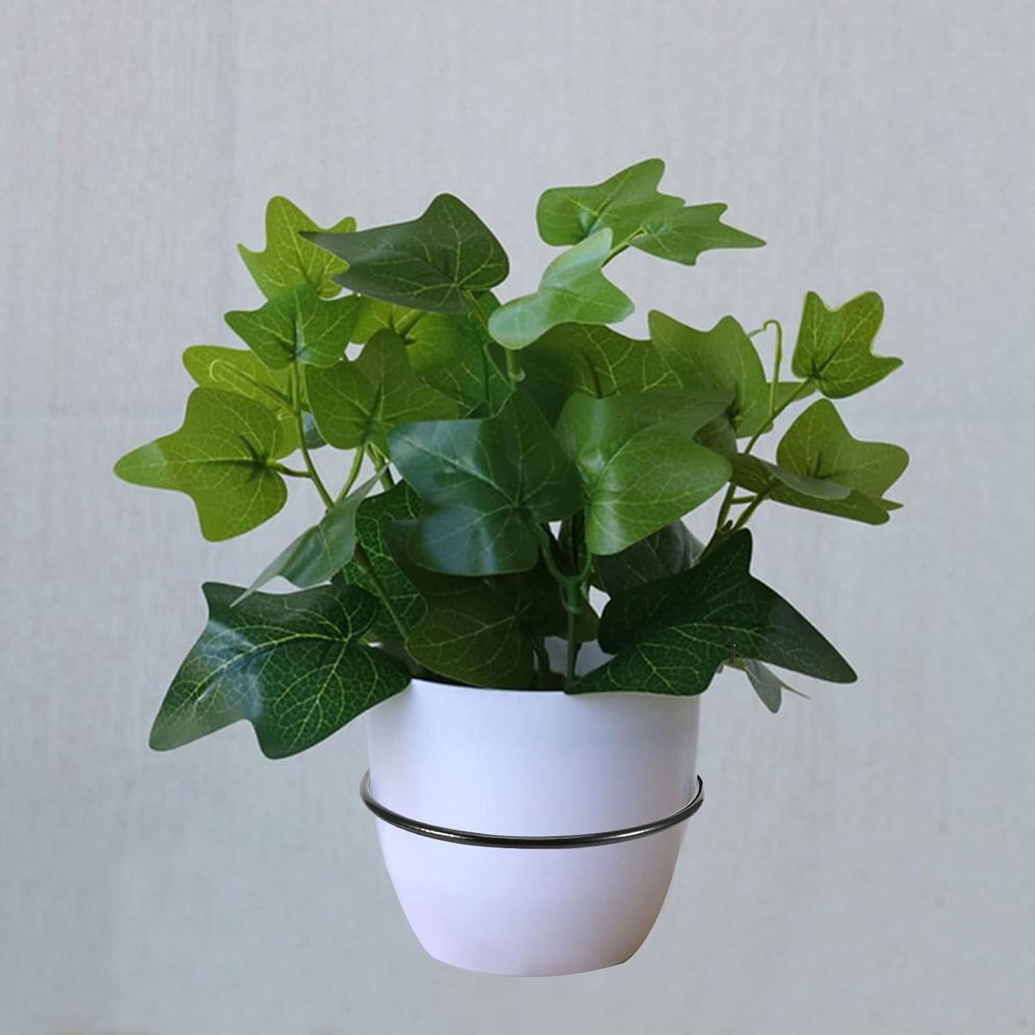 10 PCS 6 Inch Flower Pot Holder Ring, Wall Mounted Wall Plant Hanger, Collapsible Metal Wall Planter Holder for Indoor