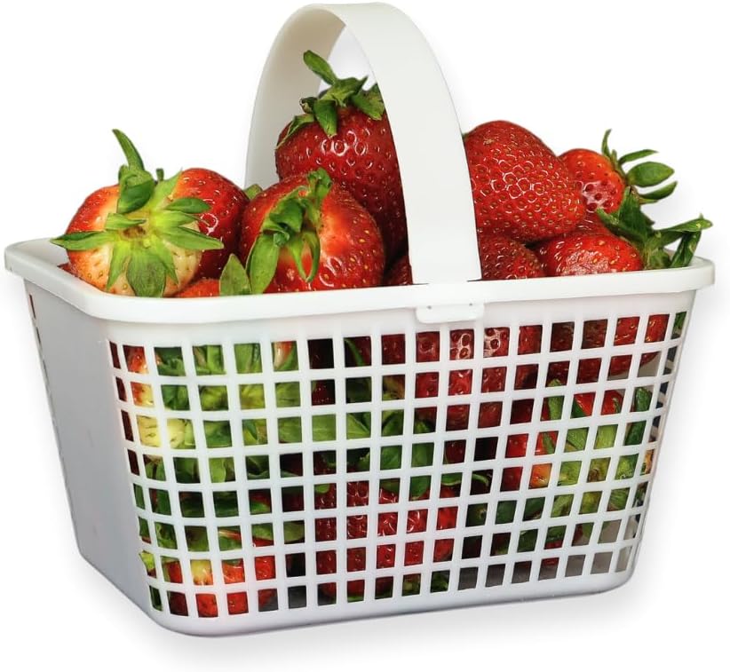 12 Pack – Small Plastic Basket with Handle for Produce Display, Harvesting Fruits and Vegetables, Party Décor, or