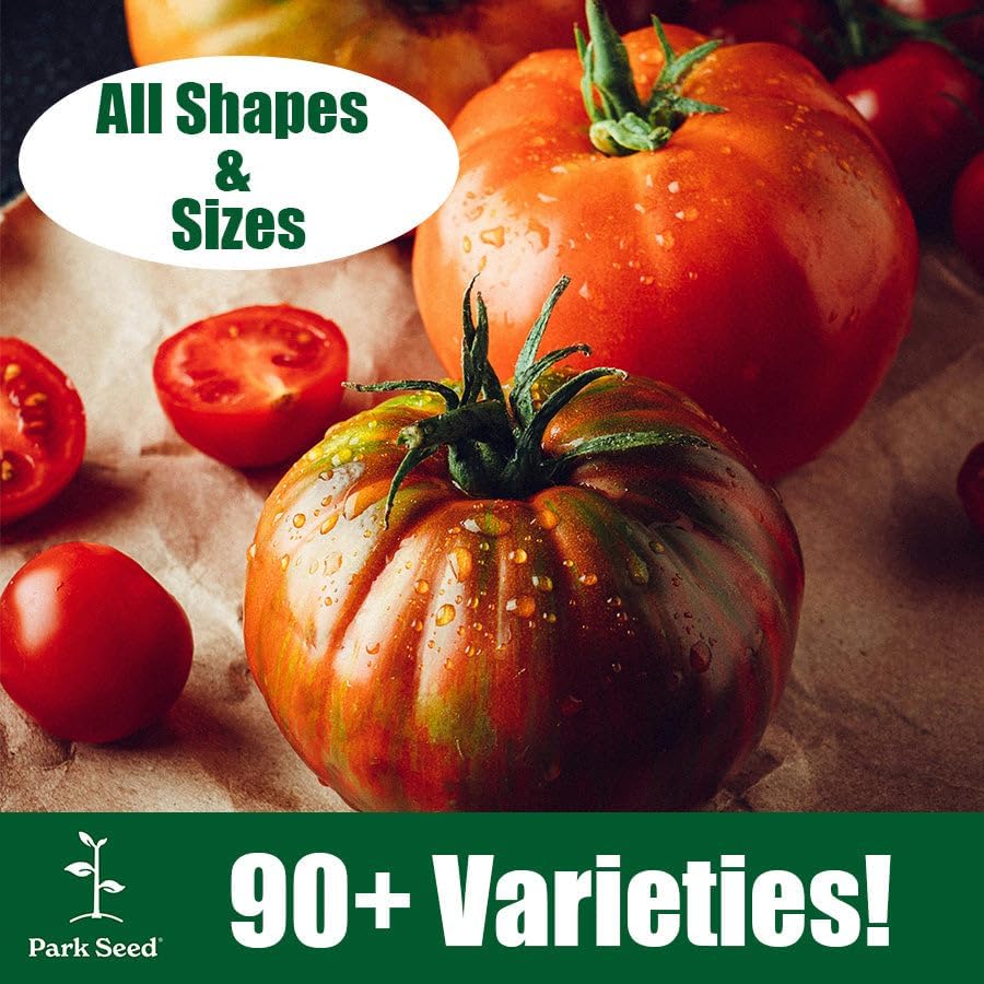 Park Seed Variety of Tomato Seeds, Planting Vegetables, Easy to Grow, Non-GMO, Perfect for Harvesting, Beefmaster
