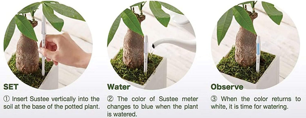 IPPINKA Sustee Aquameter, Set of 4, Plant Soil Moisture Sensor, (White, Medium)