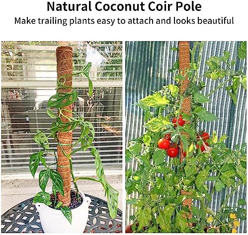 JJGoo Moss Pole for Plants Monstera, 2 Pack 23.6 inch Plant Support Pole, Extendable Coir Totem Pole for Potted Plants Pothos,Train Indoor Climbing Plants to Grow Upwards - Extends to 40.6 Inches