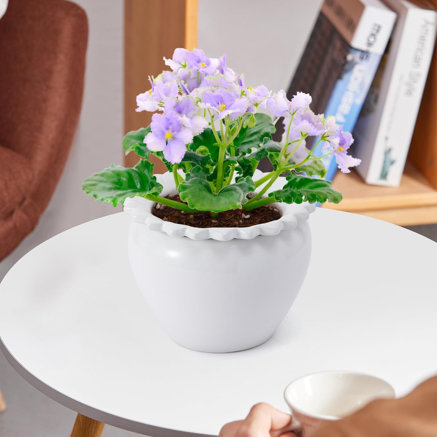 African Violet Flower Pot Ceramic Self Watering Flower Pot 6.5 * 4.6 * 4 inch Simple Plant Self Watering Pot Indoor