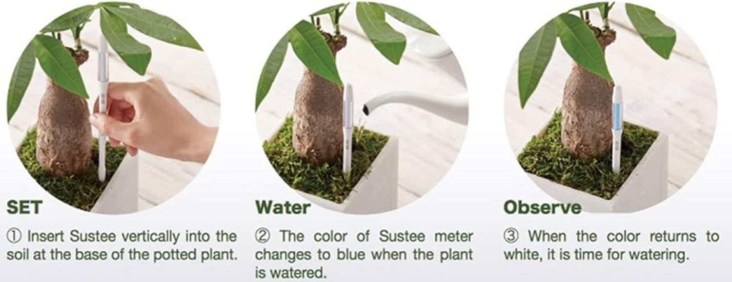 IPPINKA Sustee Aquameter, Bundle of 12, House Plant Soil Moisture Meter, Best for Indoor Potted Plants - Large Green