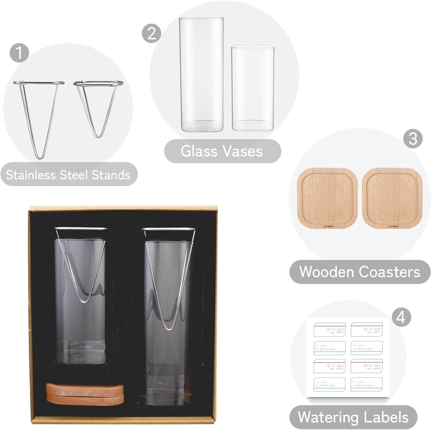 Avocado Seed Growing Kit, Set of 2 Glass Vases with Stainless Steel Holder & Wood Base, Avocado Growing Vase Hydroponic