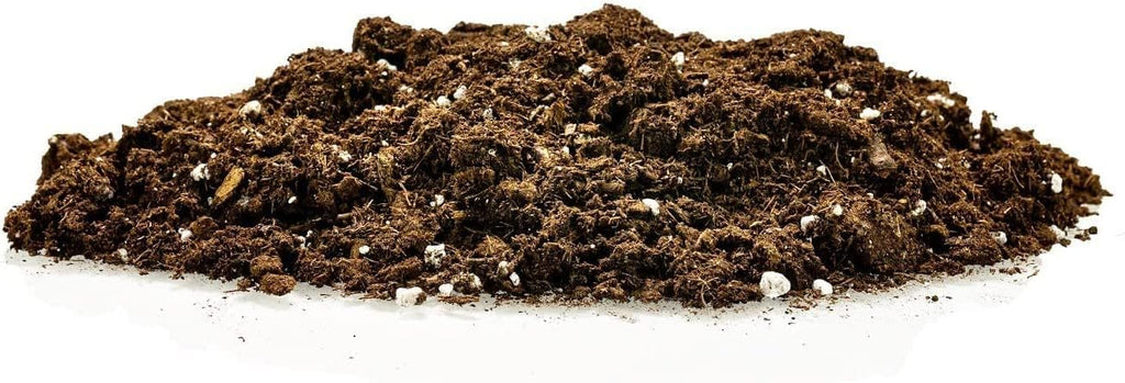 Citrus Tree Potting Soil Mix, Special Blend for Indoor Oranges, Lemons, Limes and More - (4 Quart Bag)