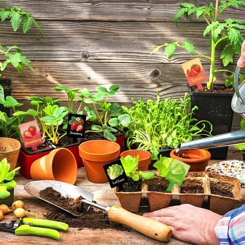 60PCS Plant Label Vegetable Herb Garden Marker, Color & Black Double-Sided