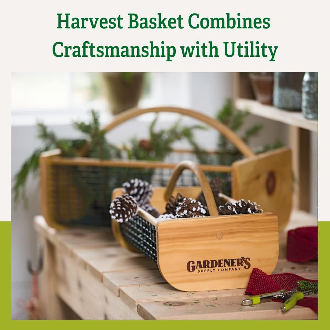 Gardener's Supply Company Garden Harvest Basket | Versatile Gardening & Vegetables Gathering Hod | Natural Smooth Pine