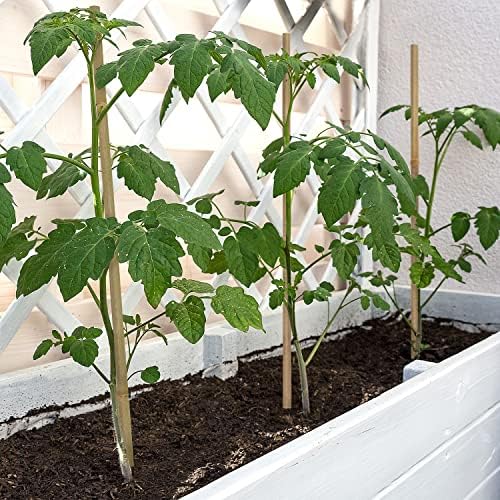Plant Stakes,16IN Natural Garden Bamboo Sticks, 20Pcs Plant Support Stakes