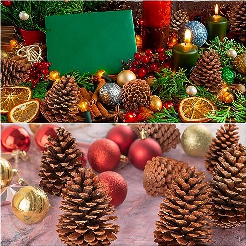 Huwena 12 Pcs 6-7 Inch Pinecones Large Natural Unscented Pine Cones Bulk