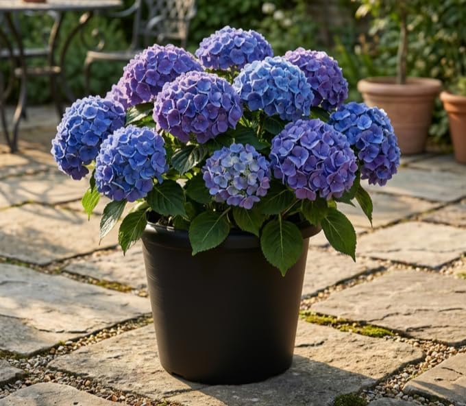 4 Pack 16 Inch Large Planters for Outdoor Plants with Drainage Holes | 16"Wx12" Tall, 30L Capacity Heavy-Duty Plastic