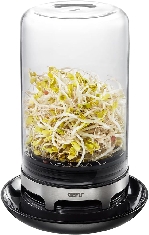 SPROUTING JAR (Black)